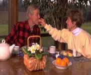 saddleback inn lake arrowhead.