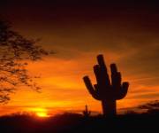 new car financing at arrowhead lexus.