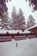 honeymoon cabin heart-shaped private jacuzzi.