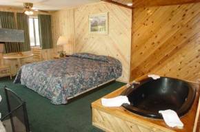 mountain cabins and skiing properties.