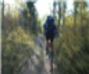 big bear lake california lodging.