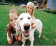 lodging in big bear lake california.