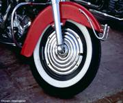 big bear venom bikes.