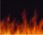 pet friendly big bear cabins.