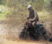 big bear custom motorcycles.