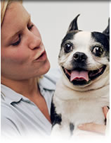 pet friendly cabins in big bear.