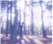 big bear weather cam.