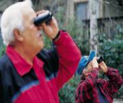 crestline entertainment.