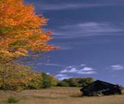 lake arrowhead vacation rental.