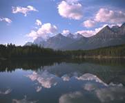 arrowhead village web cam.